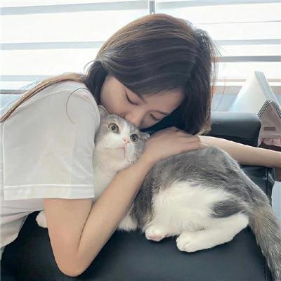 动画青春